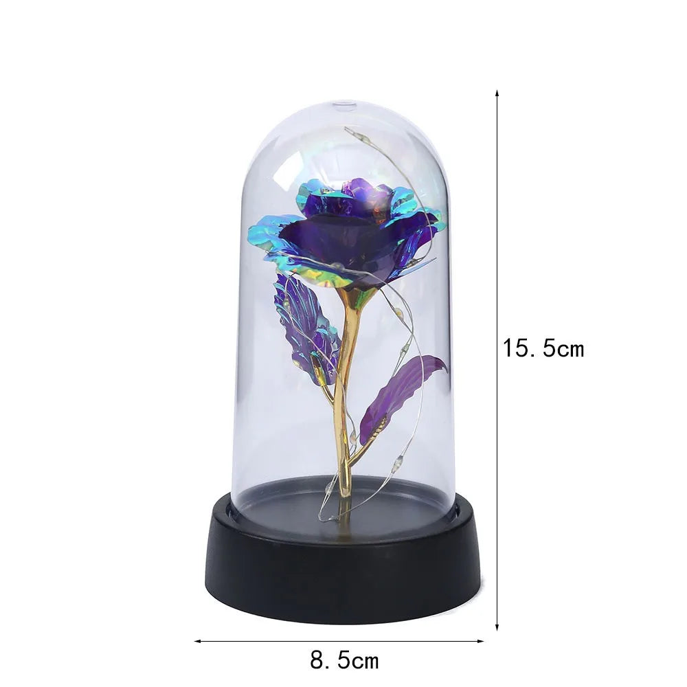 Galaxy LED Rose Dome Light