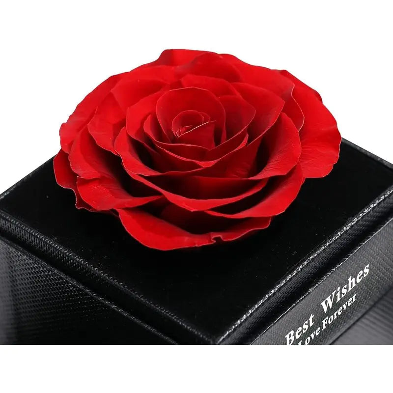 Romantic Luxury Rose Gift Box with Necklace