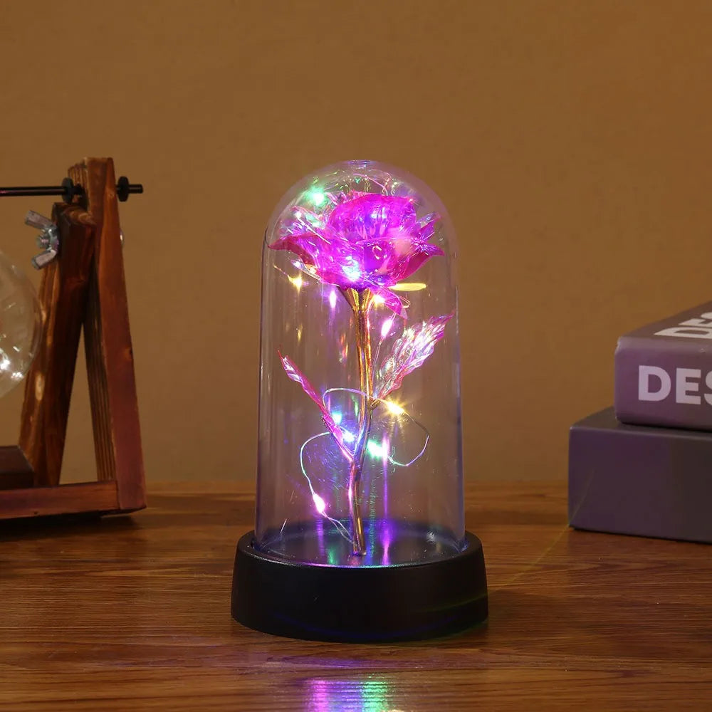 Galaxy LED Rose Dome Light