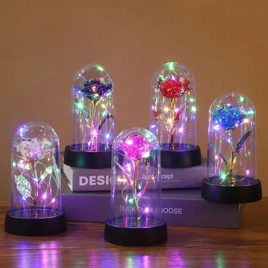 Galaxy LED Rose Dome Light