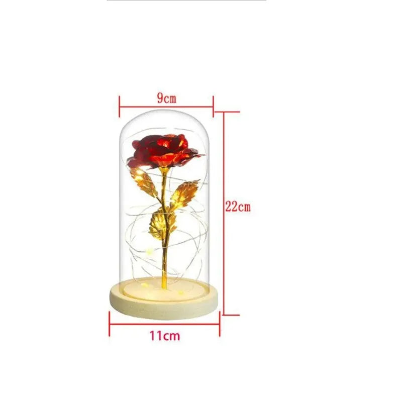 LED Eternal Rose Glass Light